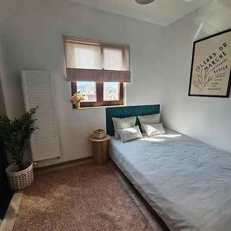Downtown Terrace Nest Victoriei Gara De Nord Apartment *