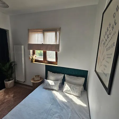 Downtown Terrace Nest Victoriei Gara De Nord Apartament Bukareszt