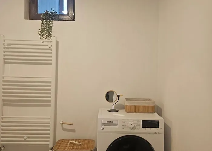 Downtown Terrace Nest Victoriei Gara De Nord *