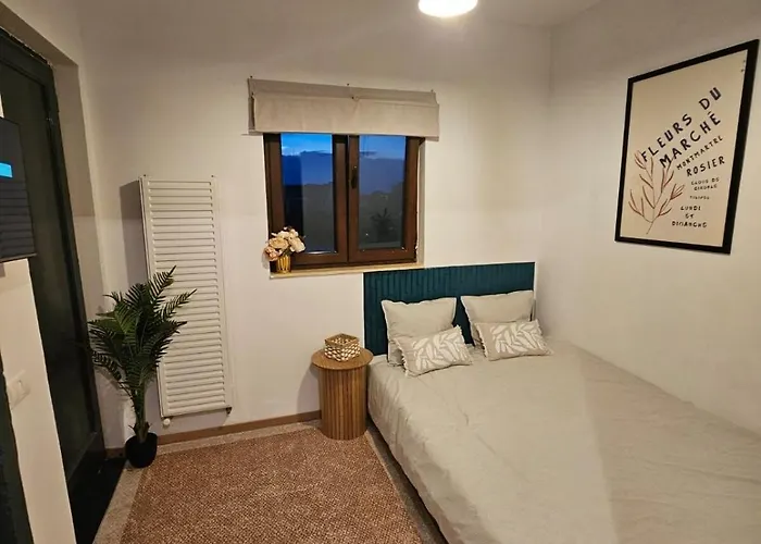 Apartment Downtown Terrace Nest Victoriei Gara De Nord *